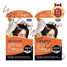 엘라스틴 샴푸하듯 간편염색약 60g, 흑갈색, 2개