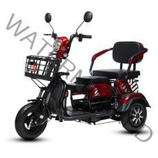 세발 전기자전거 삼륜 3륜 배달 2인용 배달용 접이식, B.60V 800W 베어 카 [배터리 없음], FRAME