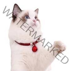 예보들 고양이 방울 목걸이, 레드