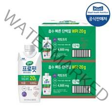 매일 셀렉스 웨이프로틴 초콜릿, 330ml, 24개