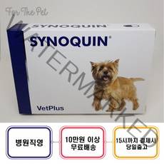 사이노퀸 30캡슐 (캡슐형) 영양보조제 - 당일배송