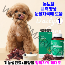 강아지 눈물자국 눈 건강 영양제 펫생각 루테인 반려견 영양제 애견 시력건강 눈꼽 눈물얼룩제거 백내장 녹내장 예방, 1개