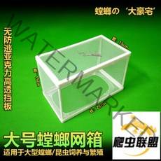 사마귀 키우기 사마귀 사육장 곤충 채집통, 신형 사마귀 그물 26x15x15cm개