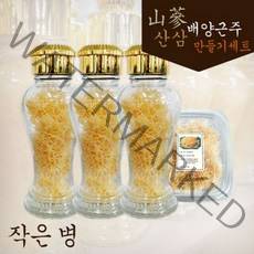 산삼배양근 술담그기 셋트 생물100g+420ml주병 3개 산삼주, 1개