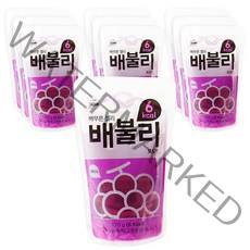 DASHIN 6kcal 배부른 젤리 배불리 포도맛, 170g, 10개입