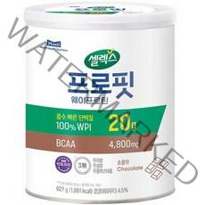 셀렉스 프로핏 웨이프로틴 파우더 초콜릿, 1개, 627g