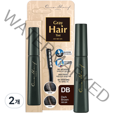 동성제약 오마샤리프 헤어 틴트 마스카라 15ml, 진한 갈색, 2개