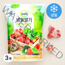 뉴뜨레 중국산 딸기 홀 (냉동), 1kg, 3개