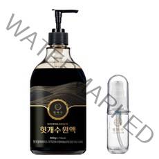 별하수 97% 청춘하루 헛개수 원액 850g + 펌프 + 휴대용기, 1세트