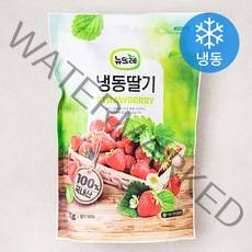 뉴뜨레 국내산 냉동딸기 (냉동), 1kg, 1개
