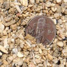 산호사 3~5mm(약3.5kg).라라아쿠아