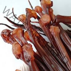 [인생건어물]미건조 말랑이장족 1KG, 1kg 중, 1개