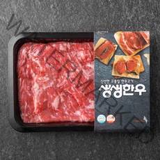 생생한우 1등급 양지 덩어리 국거리용 (냉장), 300g, 1개