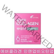 [에버콜라겐] 인앤업 비오틴 업 1통(6주분), 63g, 2개