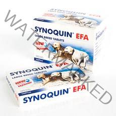 벳플러스 사이노퀸 대형견용 30정, 단품