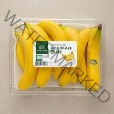 만나 페루 유기농 바나나, 2kg, 1개