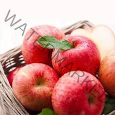 지금 수확! 경북 햇 홍로 사과, 2kg 중소과 12과내외, 1개