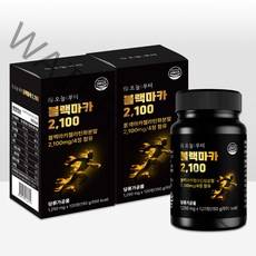 오늘부터 블랙마카2100 흑마늘 야관문 흑삼, 2개, 120정