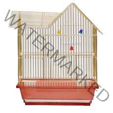 로라펫 데이아 버드 하우스, 골드, 1개