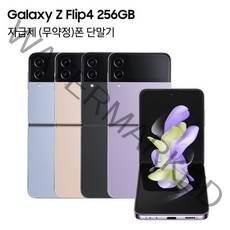삼성전자 갤럭시 Z 플립4 5G 자급제 SM-F721N, 그라파이트, 256GB