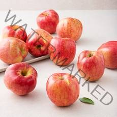 가족 못난이 빨간사과 소과 10~12입, 1개, 2kg