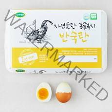 자연애찬 동물복지 인증 자연애란 반숙란 15구, 1개