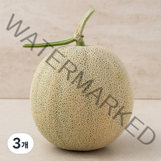 곰곰 머스크 멜론, 1.6kg, 3개