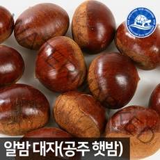 장수왕 생알밤 대자1kg 햇밤 공주알밤 견과류, 1봉, 1kg