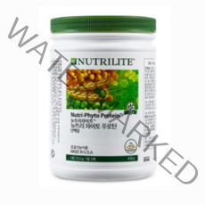 뉴트리라이트 뉴트리 파이토 푸로틴, 450g, 1개