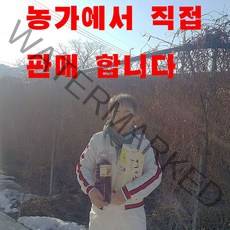 문경오미자 유정농원 오미자청 원액1000ml 당일발송, 1000ml, 1개입, 1개