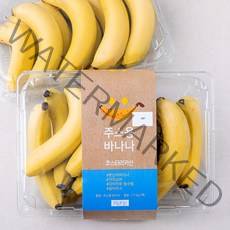 과일보감 코스타리카 주스용 바나나, 1.7kg, 2개