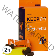 허글 강아지 킵잇 루테인 & 오메가3 영양제 150g, 2개, 연어맛, 눈물 개선/눈건강