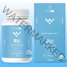 올데이원 류신 프리미엄정 6000mg 유청 누신 단백질 60정 2개월분, 1개