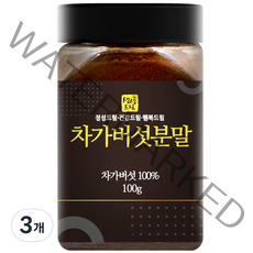 생생드림 차가버섯 분말, 100g, 3개