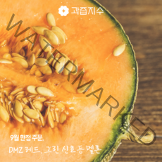 DMZ에서 나온 레드*그린 신호등 멜론, 4통, 8kg