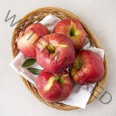 당도선별 사과, 1.5kg(대과, 5입), 1개