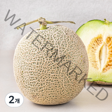 곰곰 머스크 멜론, 1.5kg, 2개