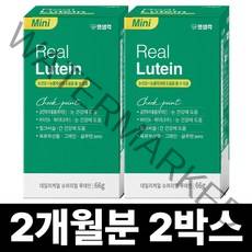펫생각 Mini 데일리케얼 리얼 루테인 강아지 눈물자국 영양제 66g 31정, 2박스