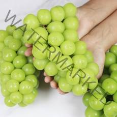 상주 샤인 망고포도 씨없는포도 청포도 샤인머스켓 2kg 에어팩포장, 푸 상주 직송 샤인머스켓 2kg 에어팩포장