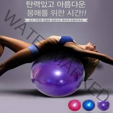 밥심스포츠 짐볼 골반운동기구 스트레칭 다이어트 공 크기, 실버