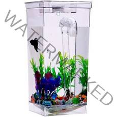 석코리아 LED 자동청소 어항세트, 1세트