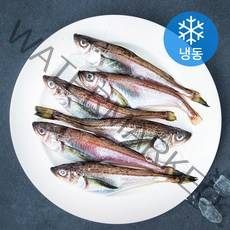 싱싱특구 동해 알배기 도루묵 (냉동), 850g, 1개