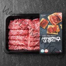 생생한우 1등급 치마살 구이용 (냉장), 200g, 1개
