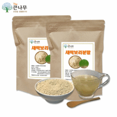 The큰나무 국산 수경재배 새싹보리분말, 500g, 2팩