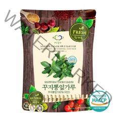 푸른들판 국내산 꾸지뽕 잎 분말 가루 100% 국산 꾸찌뽕 꾸찌뽕 구찌뽕 나무 잎 차 haccp 인증, 500g, 1개