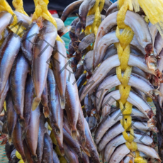 제일농수산 반건조양미리 동해안 2두름 40마리 햇양미리 3일건조양미리절단, 3번=3일건조2두름(40마리)