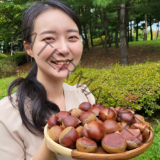 [공자매] 23년 햇알밤 옥광밤 공주정안알밤, 대보밤(대) 2kg, 1개