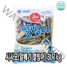 다인 알꽉찬 열빙어 3L 1kg (약50미) 시사모 알배기 제사용 제수용 [3452-5]시사모3L 1kg열빙어