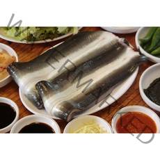 풍천민물장어 자포니카 국내산 천수산 풍천민물장어 손질민물장어 1kg 손질 후 정량500g 1kg (손질 후 정량500g), 1개