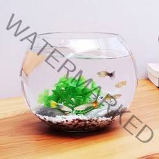 잎새몰 구피어항 미니수족관 어항세트 어항, 투명